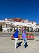 重点看服务保障和口碑